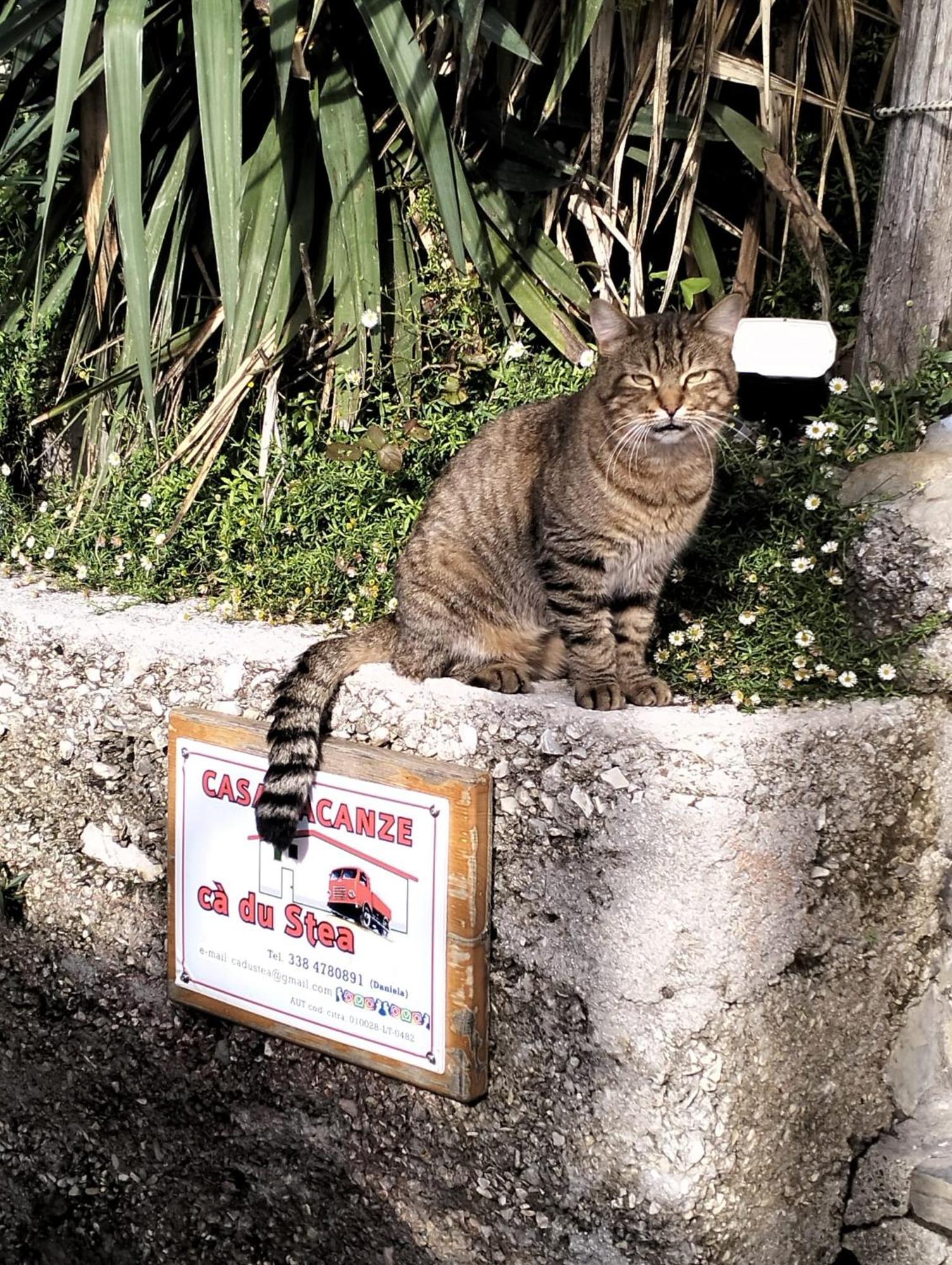Сasa de vacaciones Ca Du Stea Lavagna