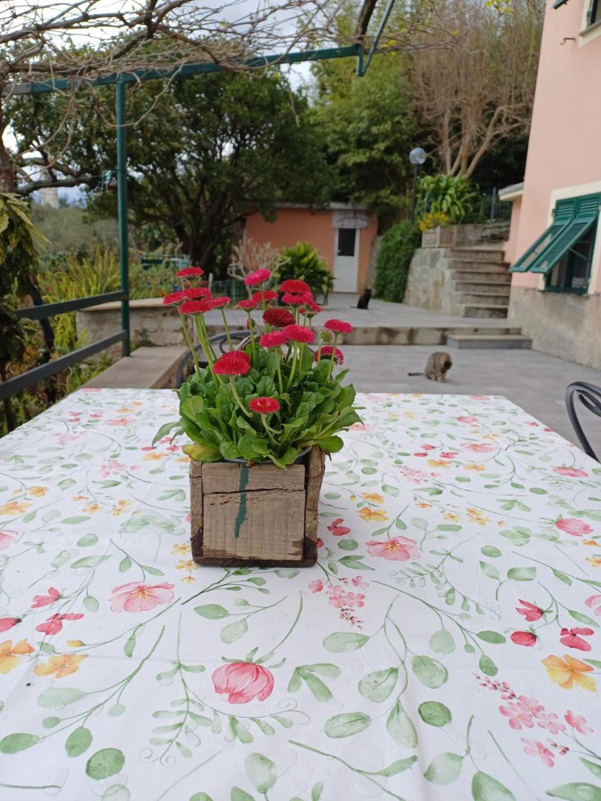 Сasa de vacaciones Ca Du Stea *